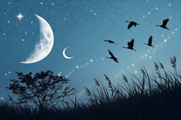 Download Birds and Moon Background Design - Moon background Collection